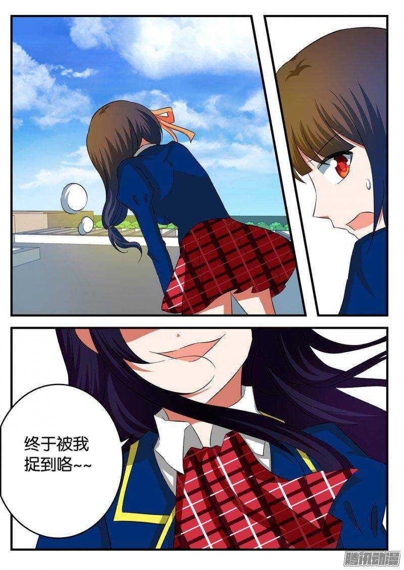 224 偷腥猫4