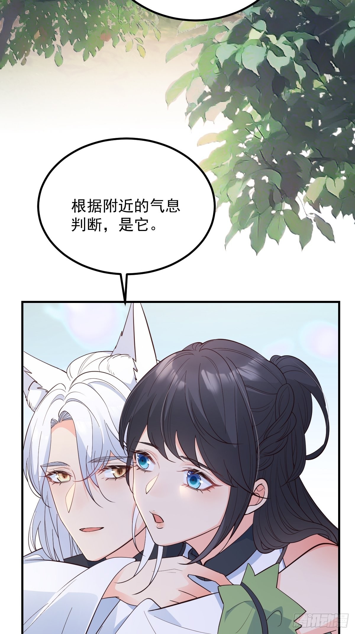 40安家10