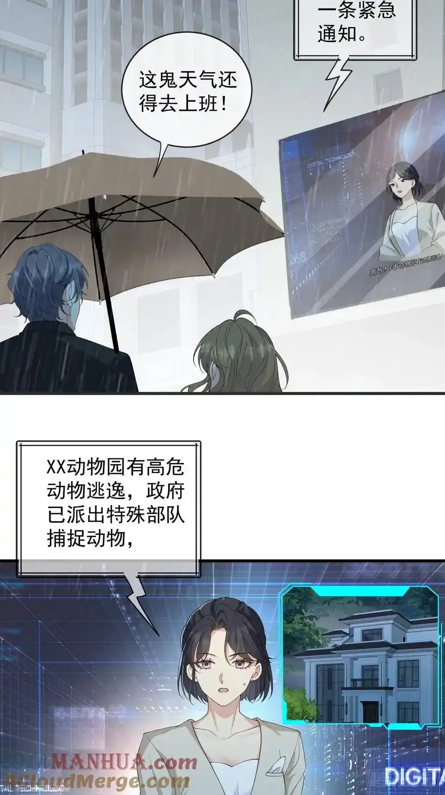133 各自带队2
