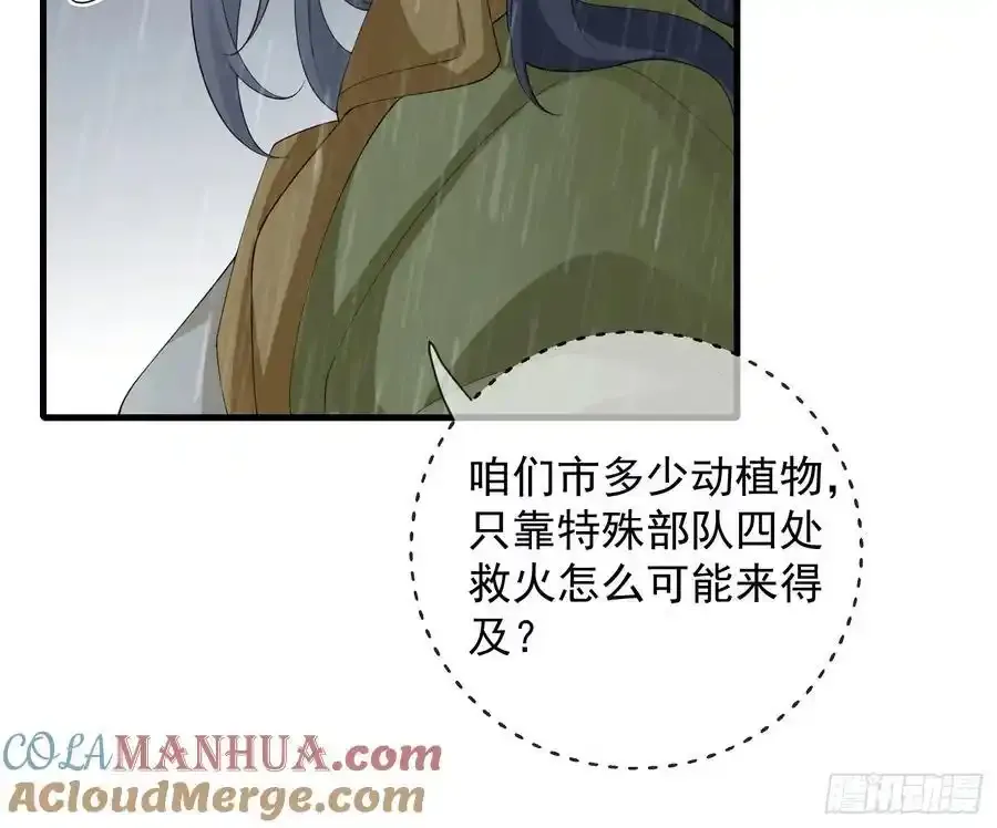 133 各自带队8