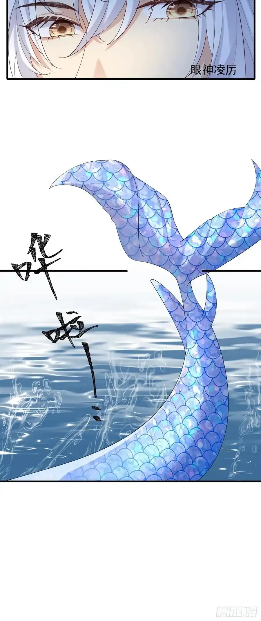 133 各自带队23