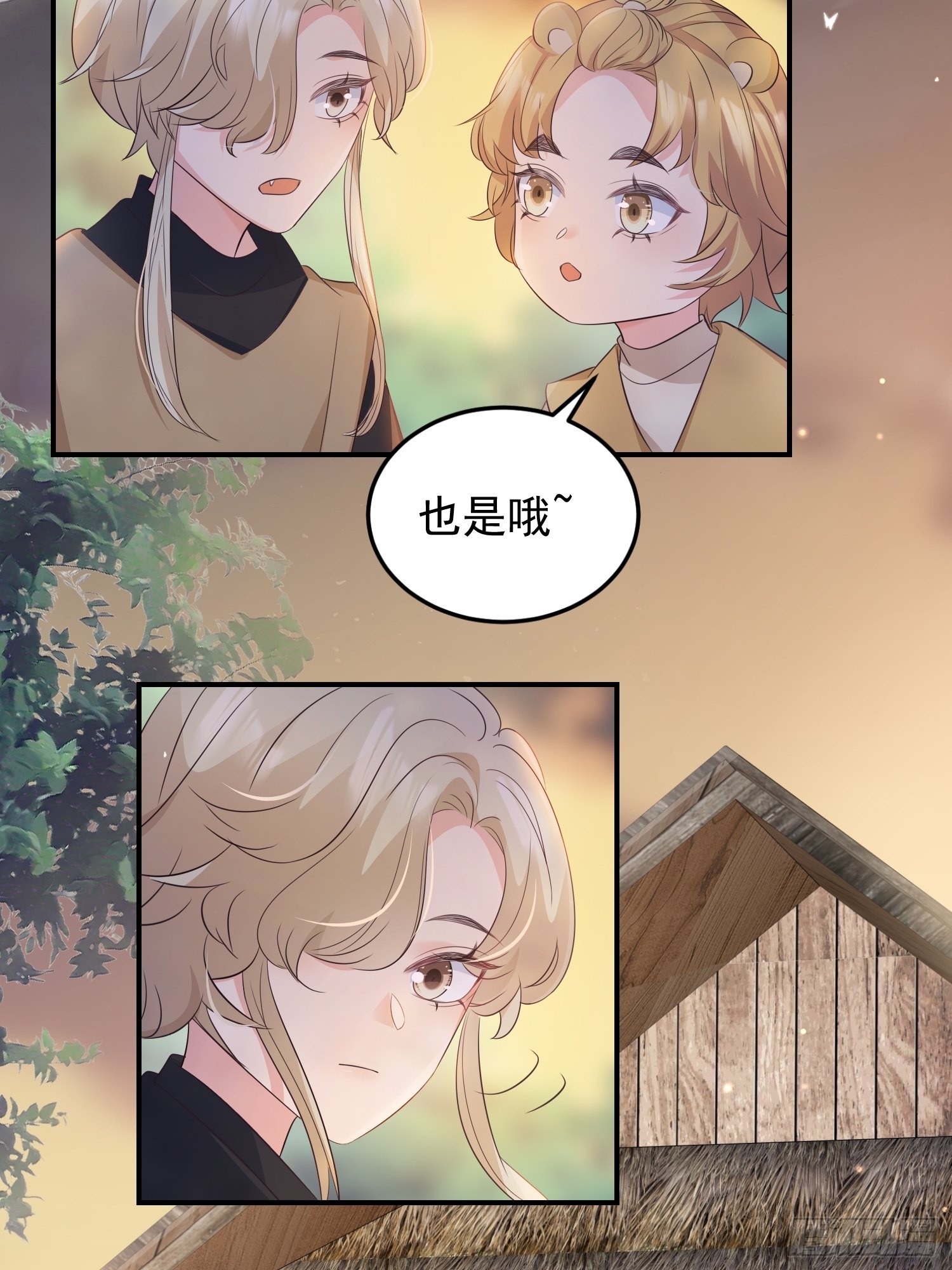 48好哥哥24