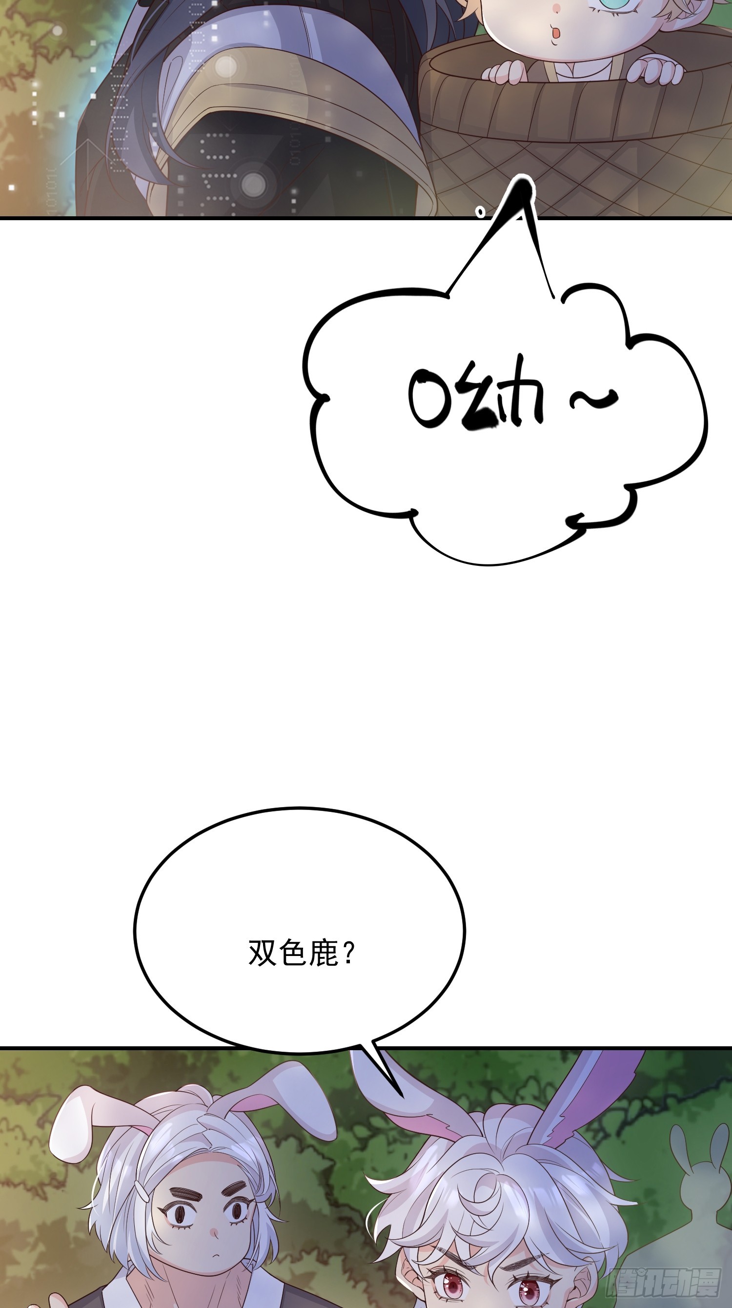 71是可爱小兔子哟16