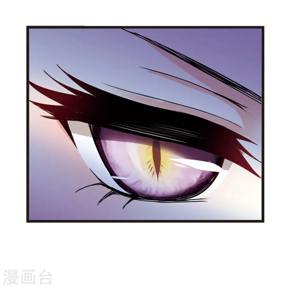 第336话 所谓规矩238