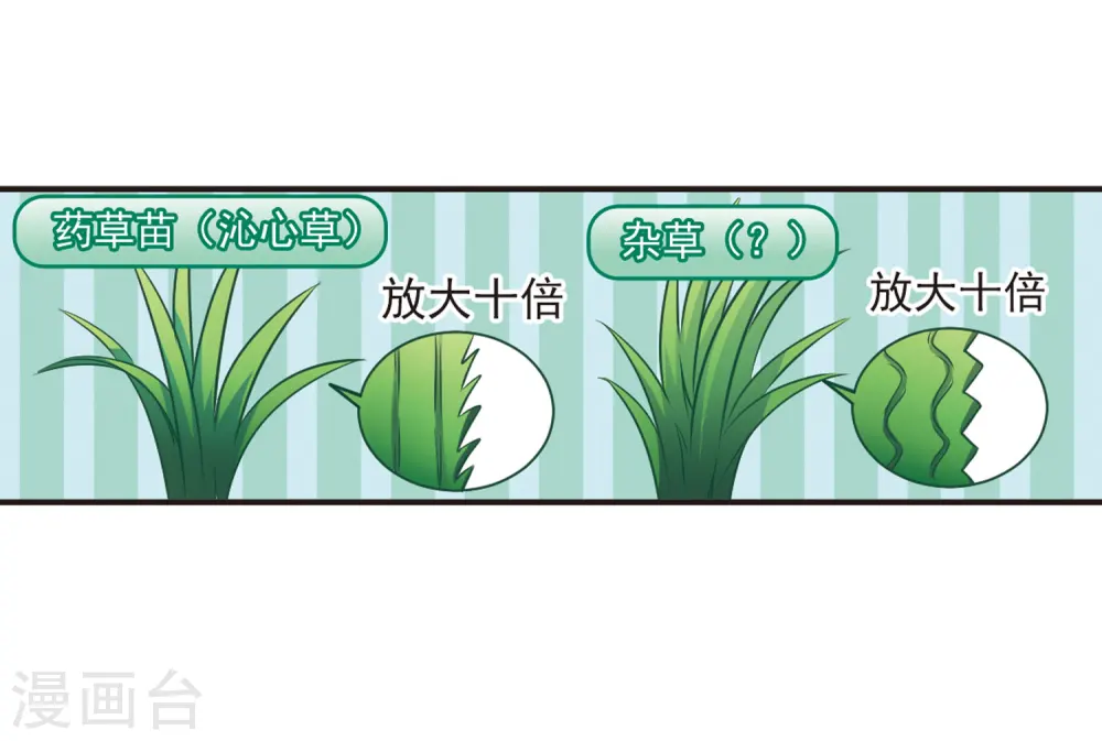 第80话 小林师兄128