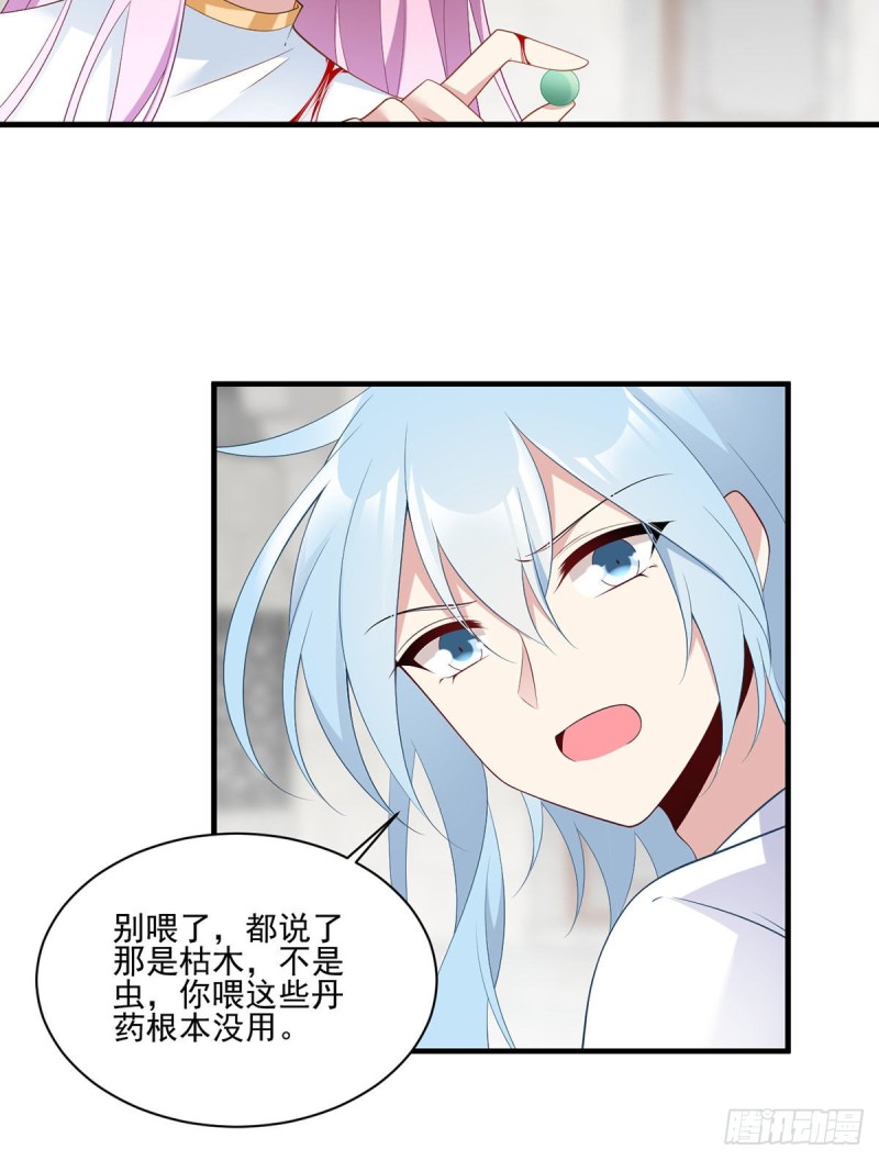 200.黑化兔子出击！19