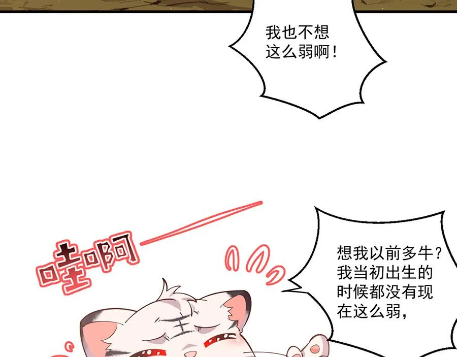 第436话 弱鸡白虎59