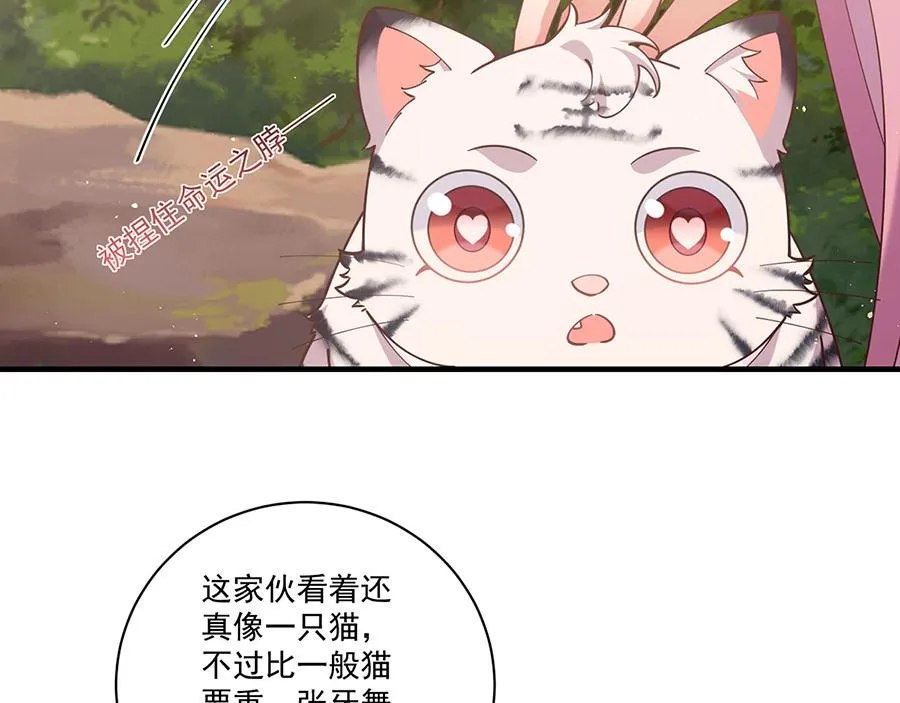第436话 弱鸡白虎39