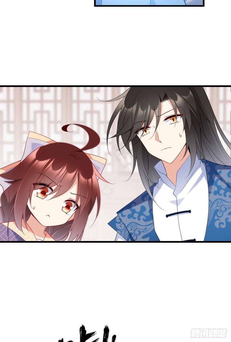 249.生了生了，它生了！26