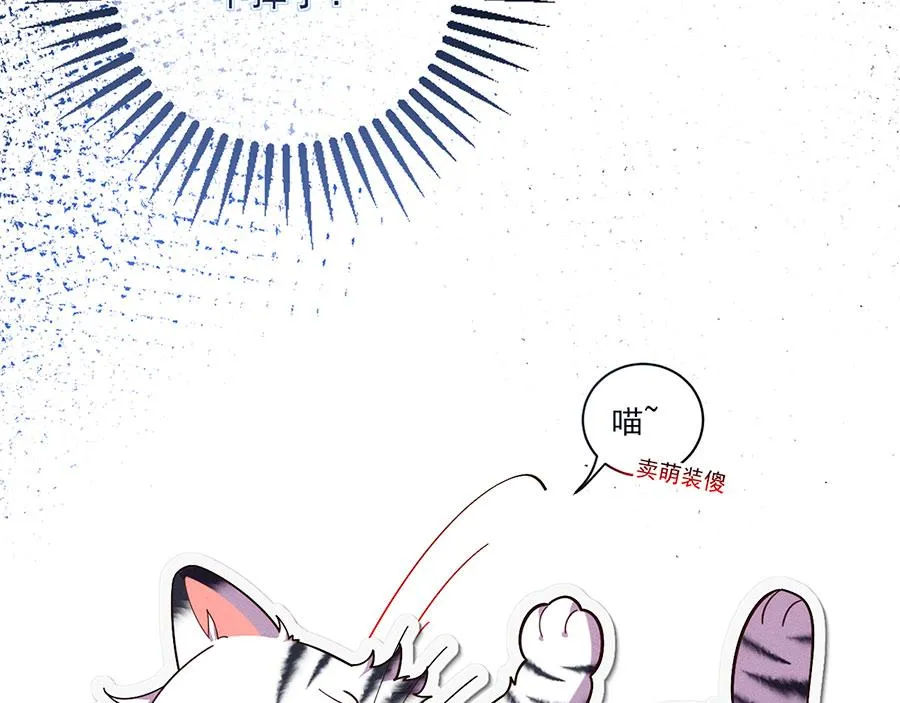 第441话 被抓包的小白猫86