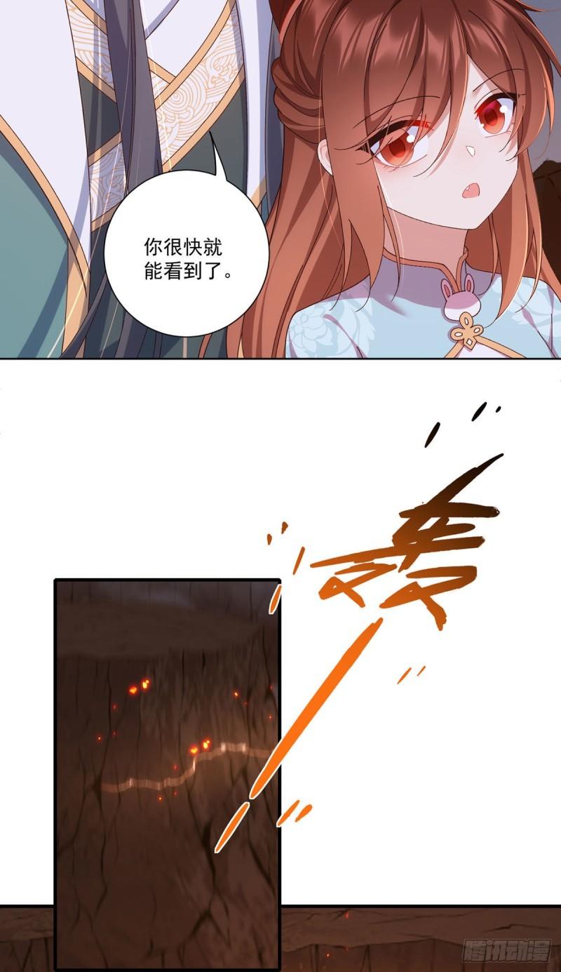 第372话 师父，生辰快乐！34