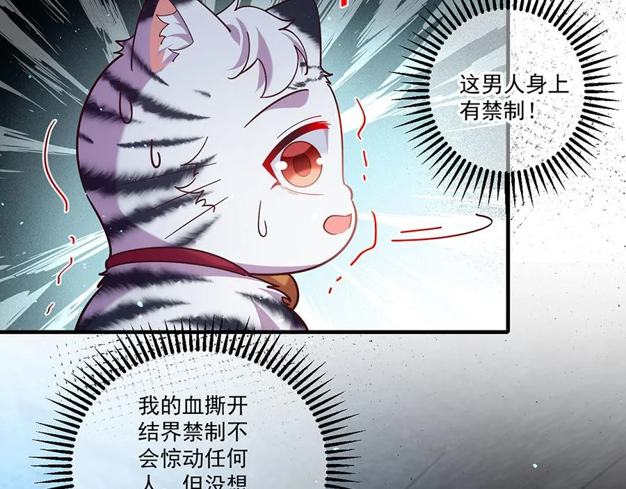 第441话 被抓包的小白猫81