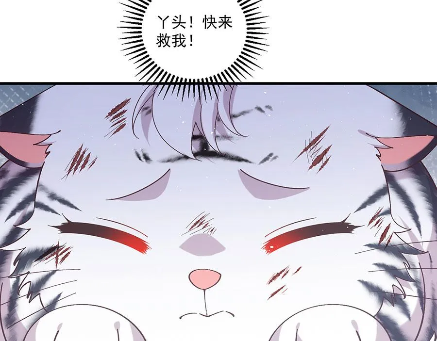 第447话 恩情81