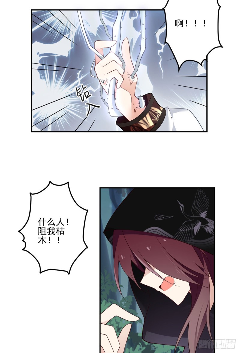 160.追踪慕轻寒21