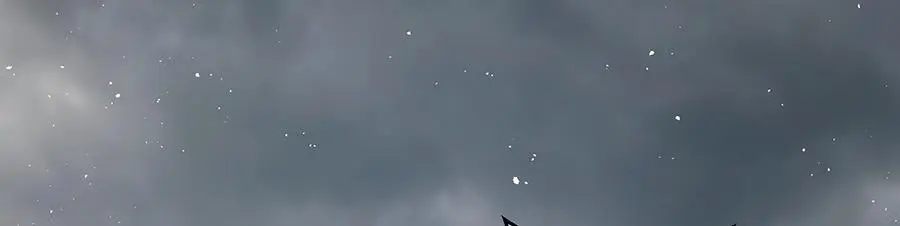 第489话 不死的斗争78