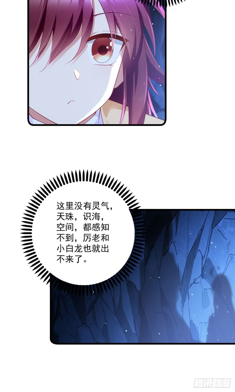 282.引路神兽10