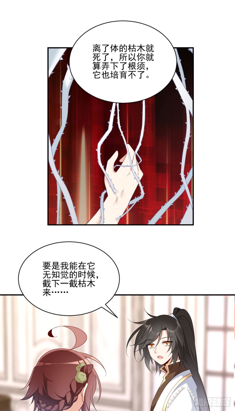 180.枯木的克星18