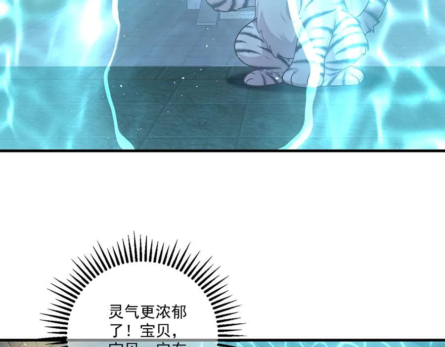 第440话 包子11