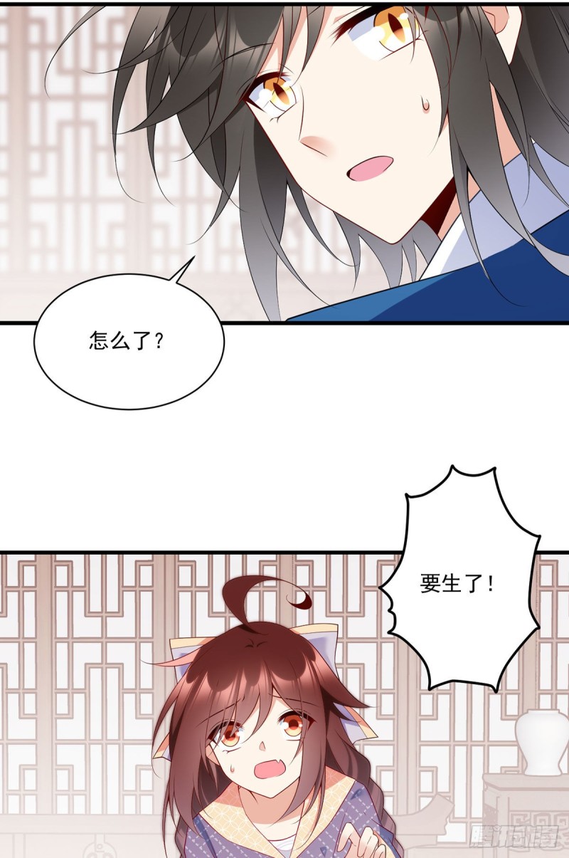 249.生了生了，它生了！16