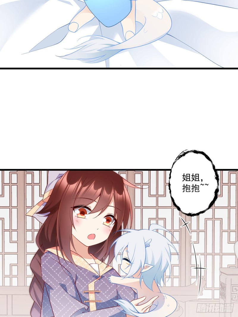 250.小白龙孵化了4