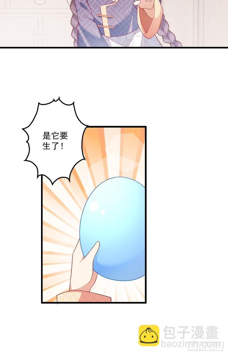249.生了生了，它生了！17