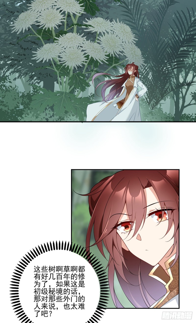 158.传错秘境了？4