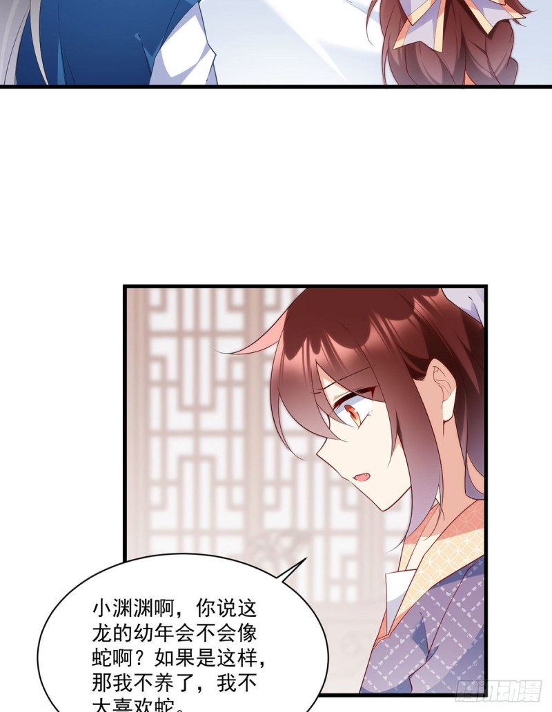 249.生了生了，它生了！20