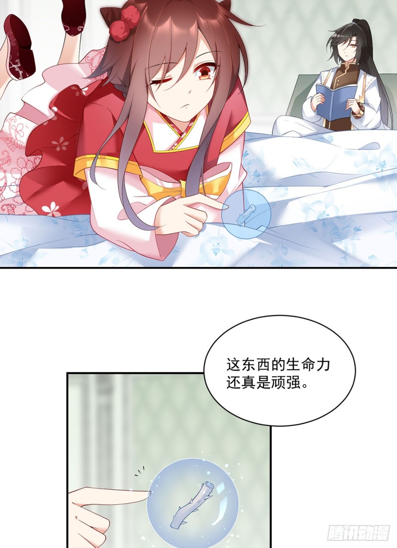 192.师父长大了3