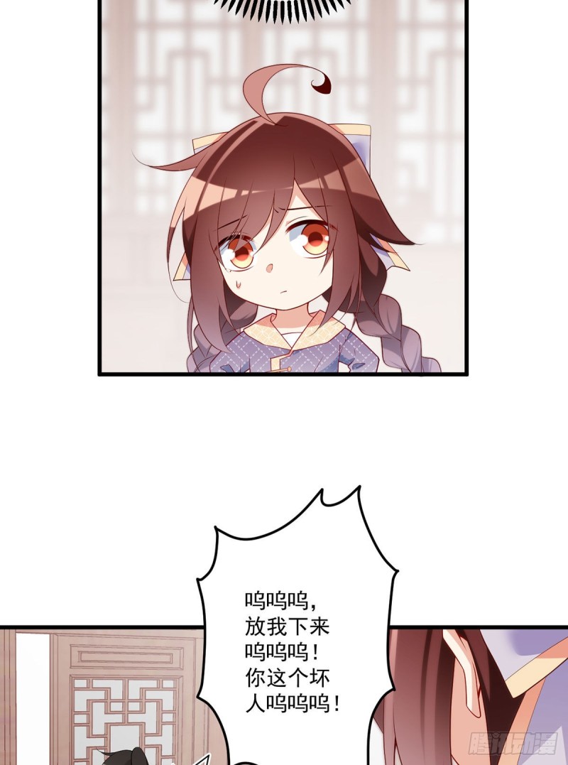 250.小白龙孵化了17