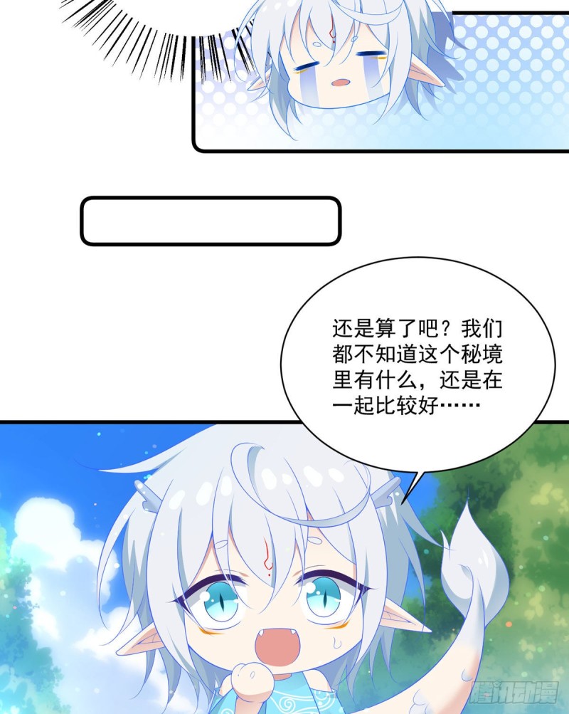 279.三七分的真相5