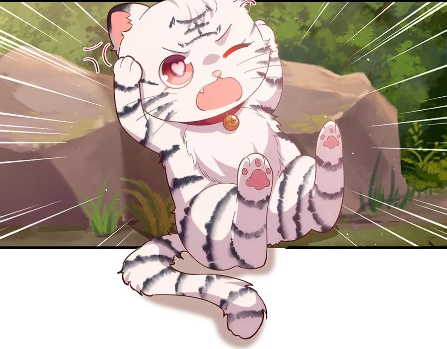 第436话 弱鸡白虎20