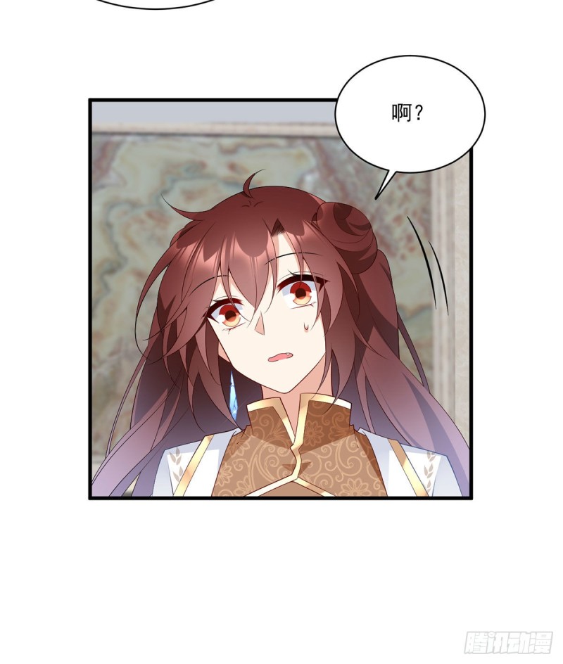204.高调的自保32
