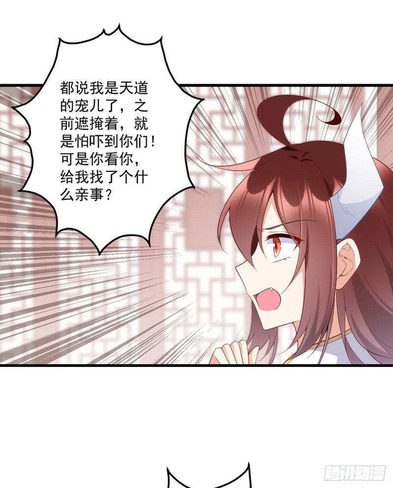 237.相亲？！不必了吧！34