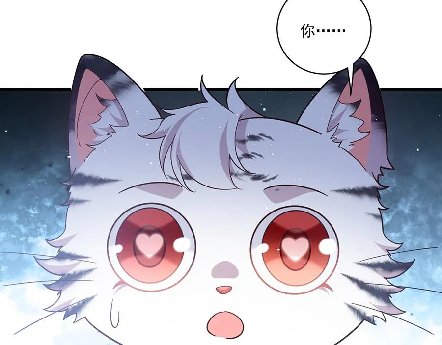 第441话 被抓包的小白猫77