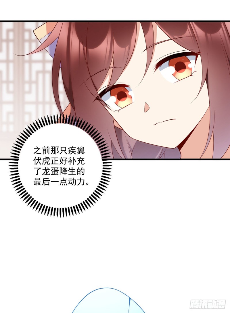 249.生了生了，它生了！18