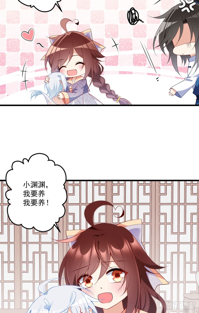 250.小白龙孵化了6