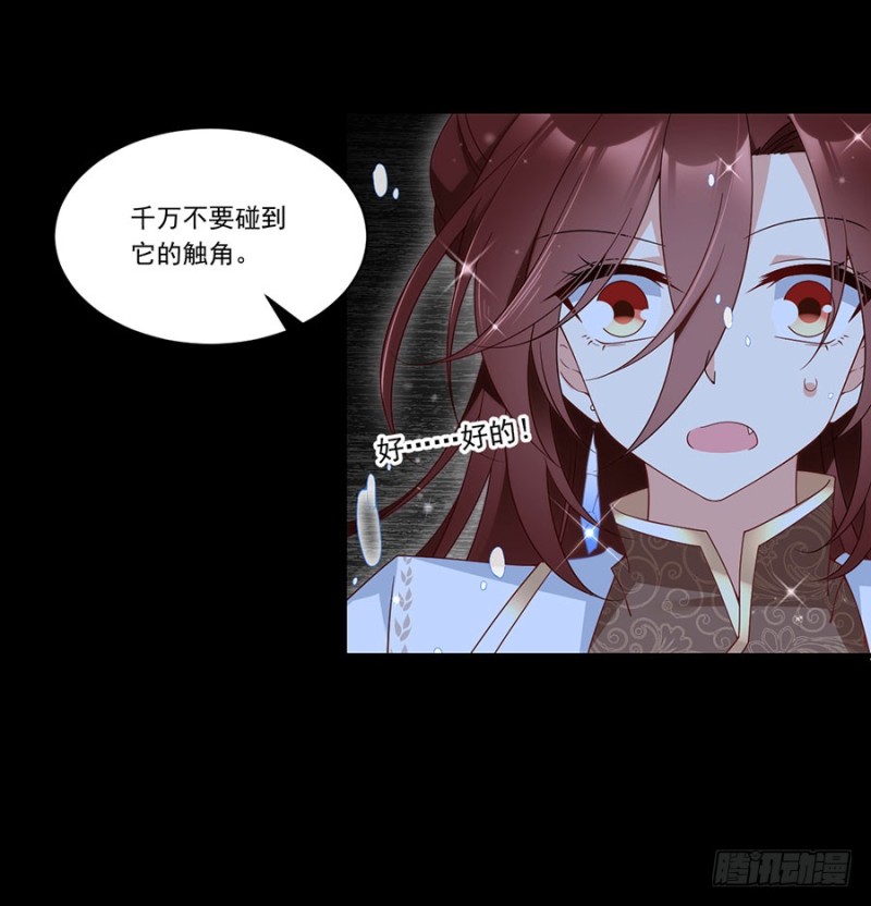 137.探险吧少年16