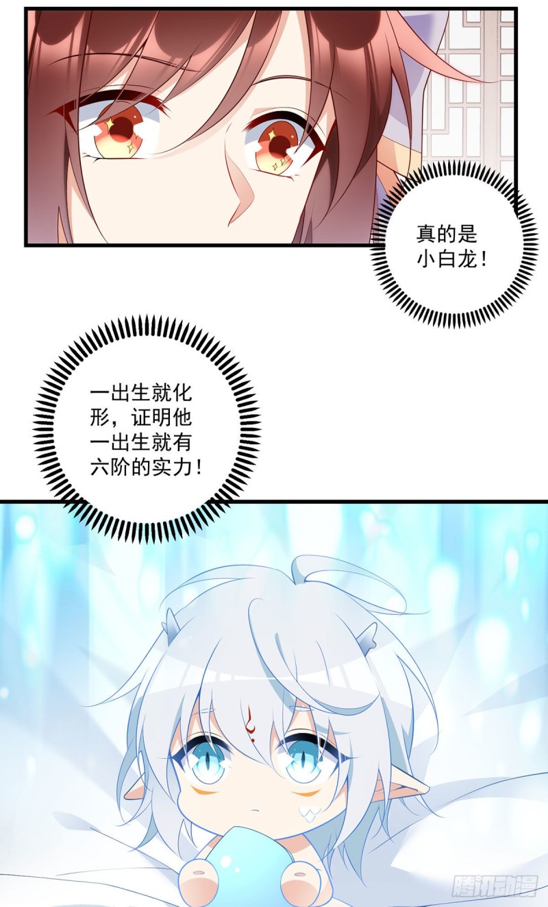 250.小白龙孵化了3