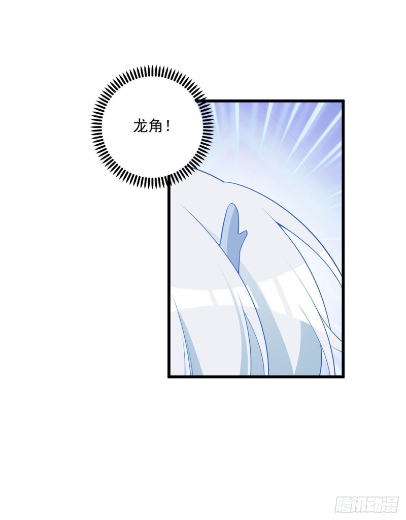 250.小白龙孵化了2