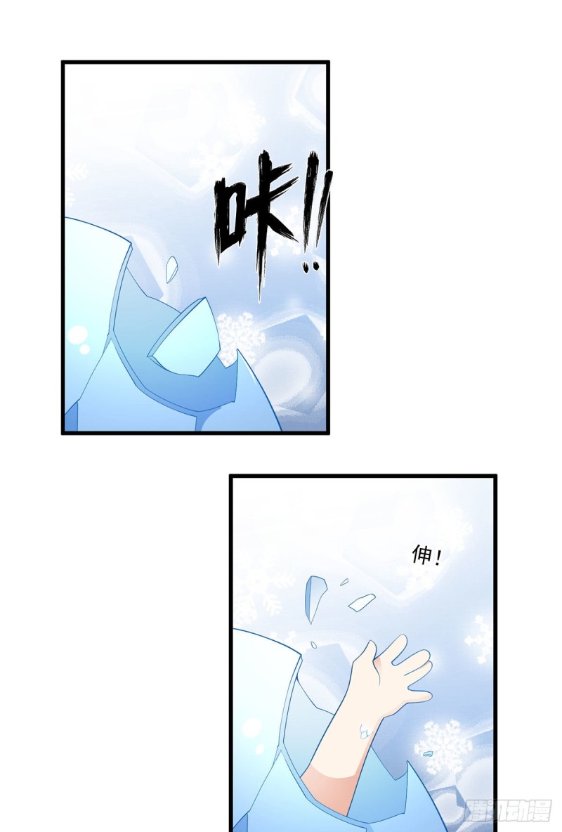 249.生了生了，它生了！25