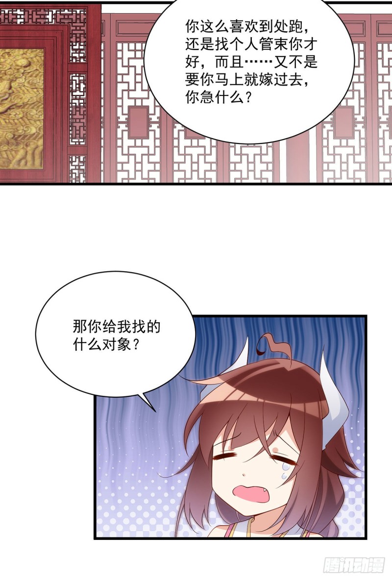 237.相亲？！不必了吧！25