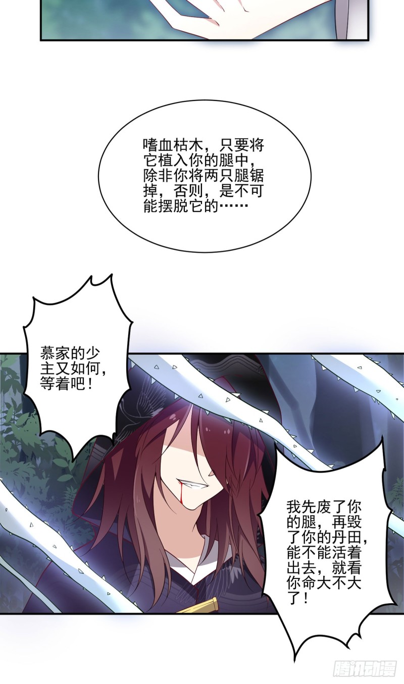 160.追踪慕轻寒18