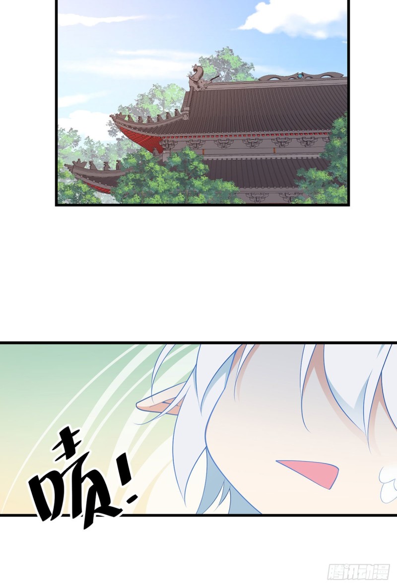 250.小白龙孵化了19