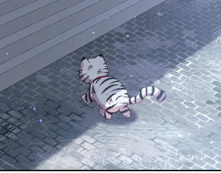 第448话 初战告捷40