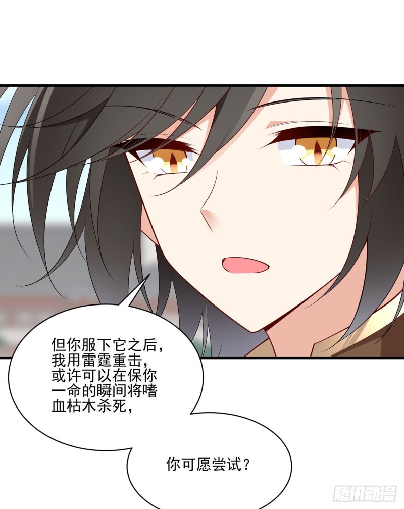 211.机会只有一次26