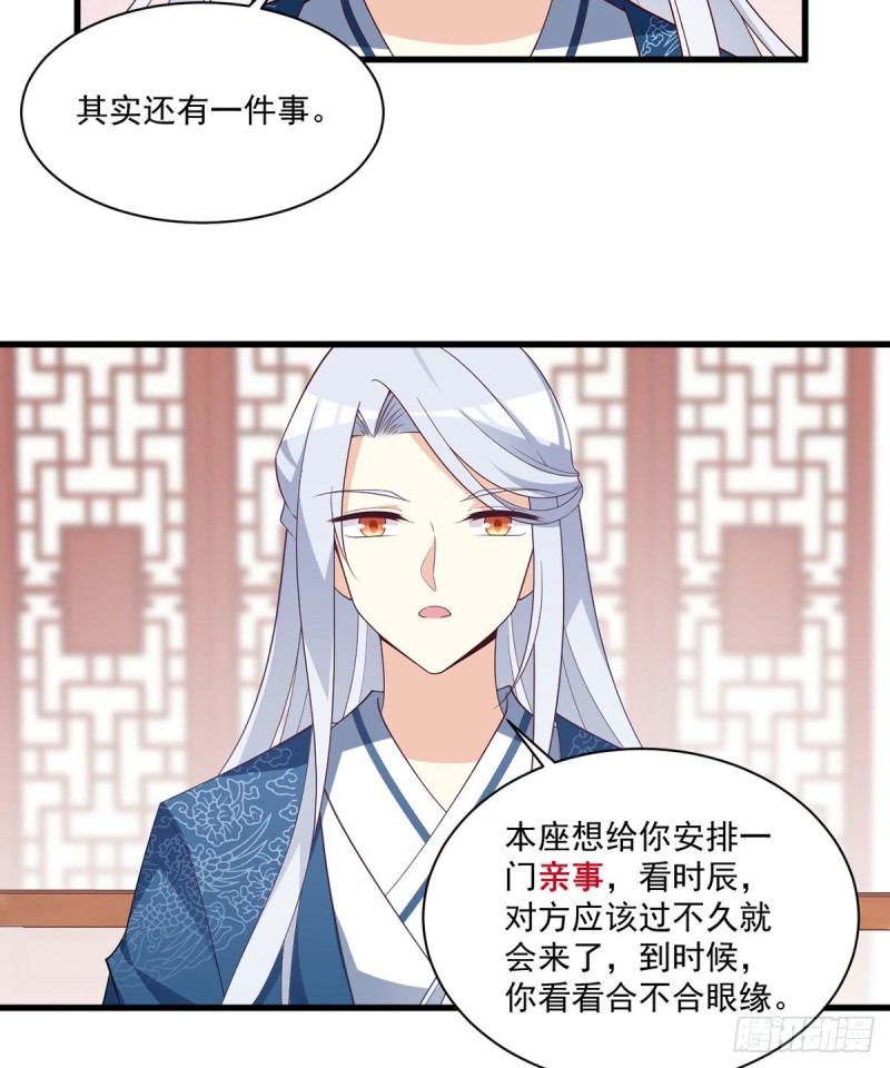237.相亲？！不必了吧！20