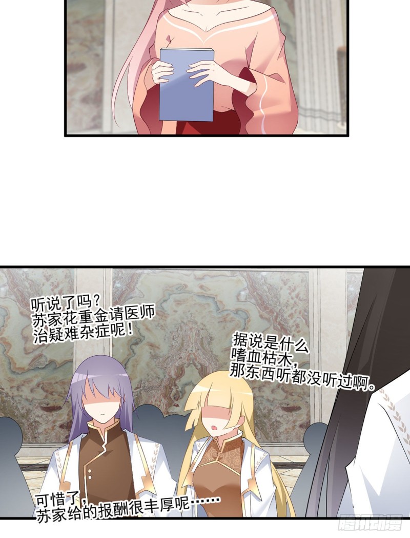 204.高调的自保27