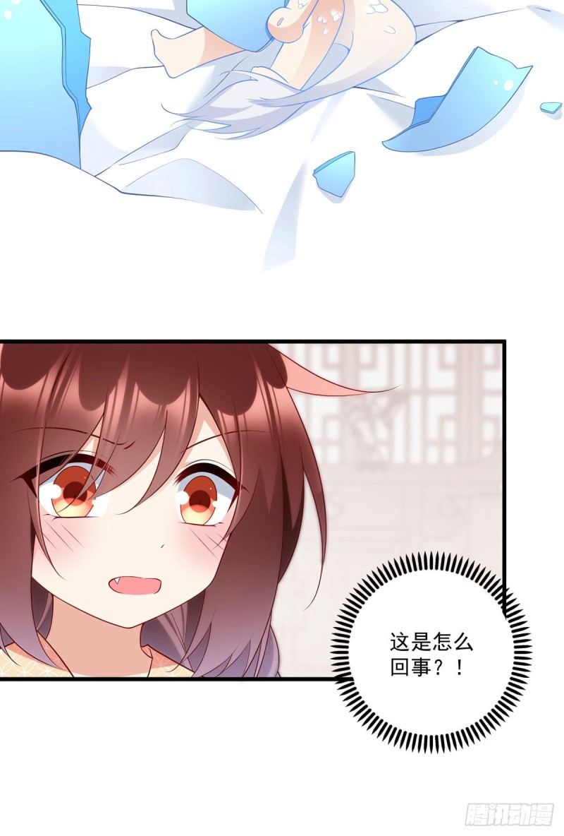 249.生了生了，它生了！28