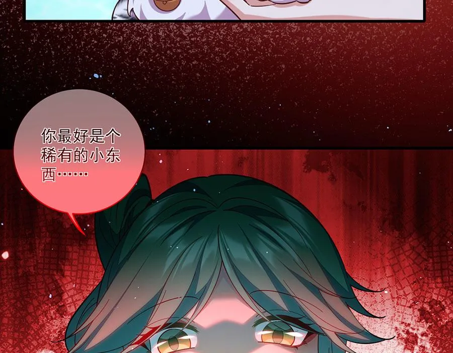 第441话 被抓包的小白猫110