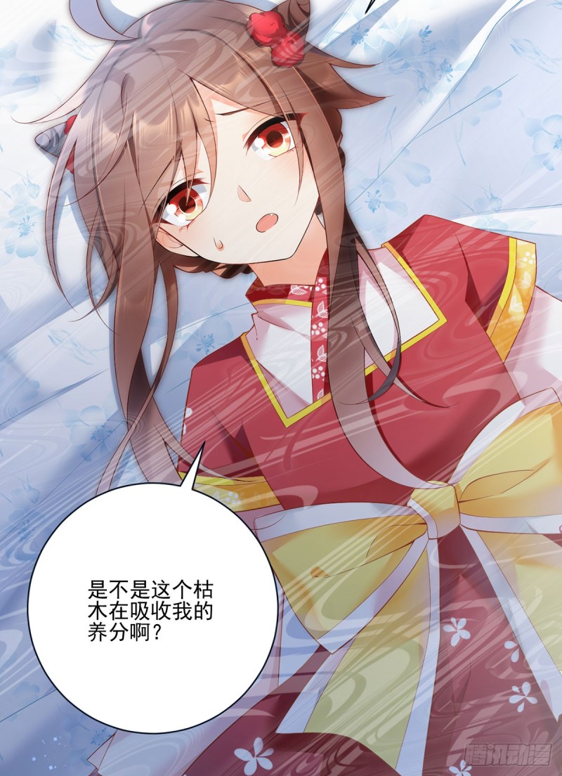 192.师父长大了7